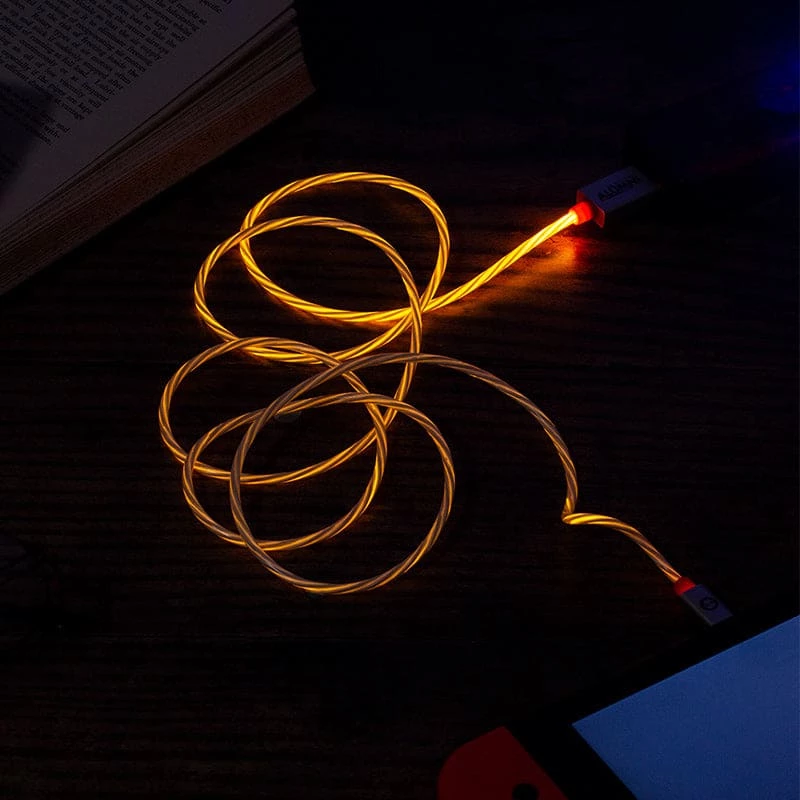 Official Harry Potter LED USB C Cable & Thumb Grips (Nintendo Switch)